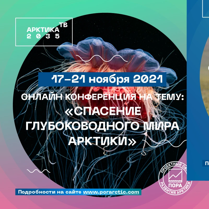 А2035ТВ — айдентика